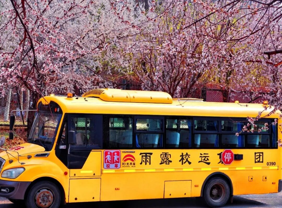 秋季校車安全特輯:秋色雖美,安全不怠//陽光雨露校車筑起秋季安全防線 秋季校車安全特輯:秋色雖美,安全不怠//陽光雨露校車筑起秋季安全防線