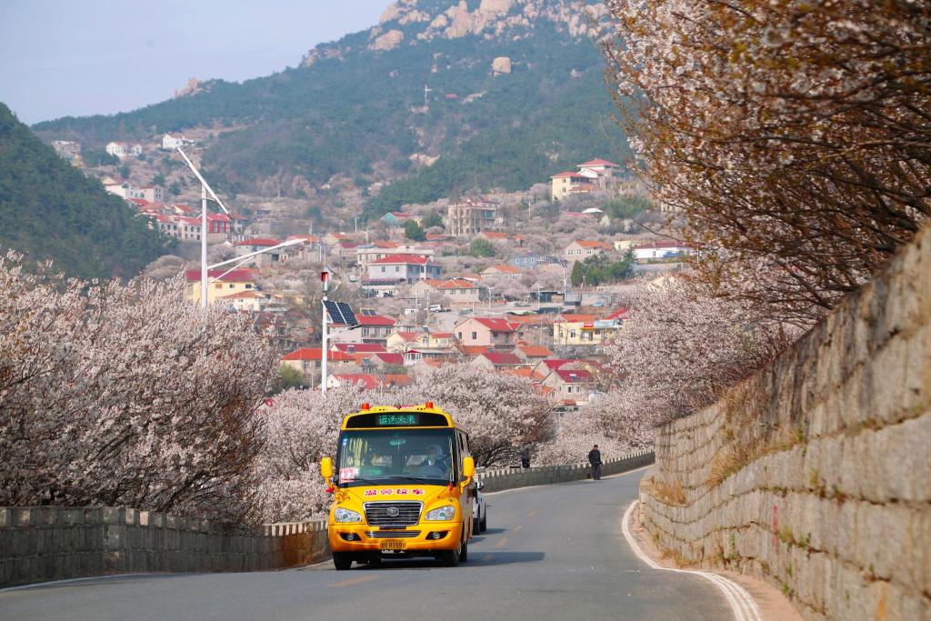 “大鼻子”校車開進嶗山9年了，護航山區(qū)孩子上學路