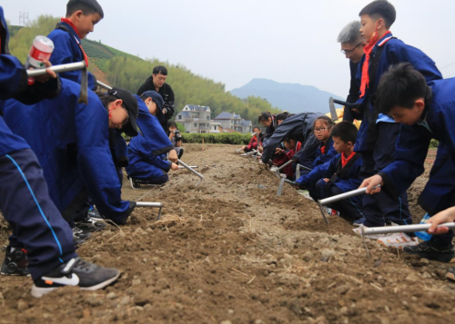 雙減下 諸暨這所學(xué)校開啟“神奇校車之旅”