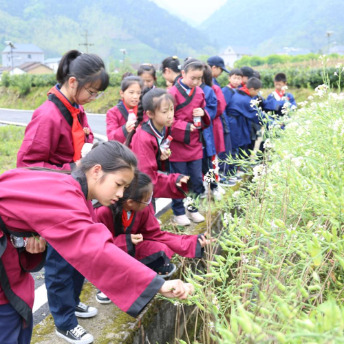 雙減下 諸暨這所學(xué)校開啟“神奇校車之旅”